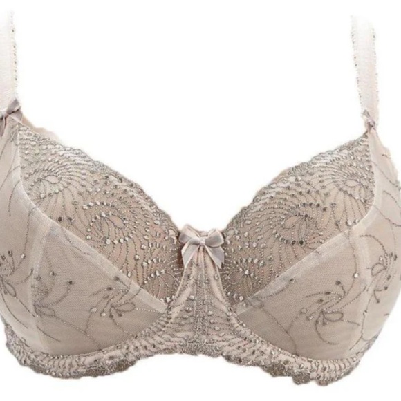 Fit Fully Yours Lingerie: Cloud Pink Nicole Sheer Lace Bra (US 34G) - Picture 2 of 8